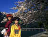 kk kyoto springtime 2.jpg (439458 bytes)