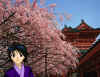 misao amongst peach trees.jpg (531799 bytes)